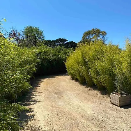 Au Coeur De Tregastel, Noyee Dans La Vegetation 펜션 트레가스텔