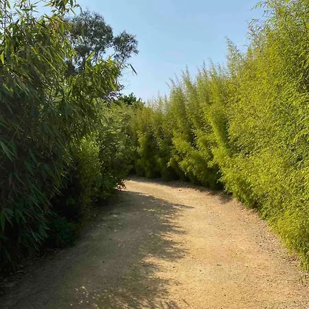 펜션 Au Coeur De Tregastel, Noyee Dans La Vegetation *